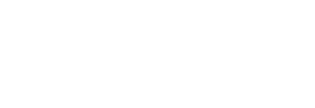 Logo Janik Press weiß